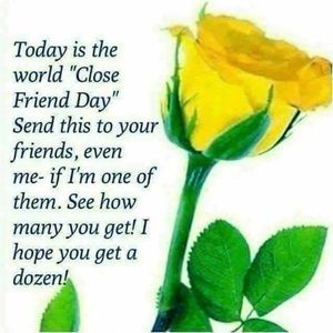 Meet your Posher, Donna